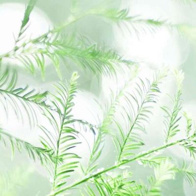 滚雪球大作战无敌版下载
